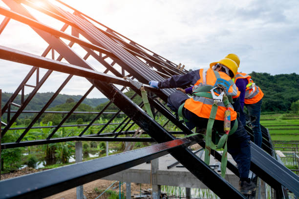 Best Best Roofing Contractors  in Plainwell, MI