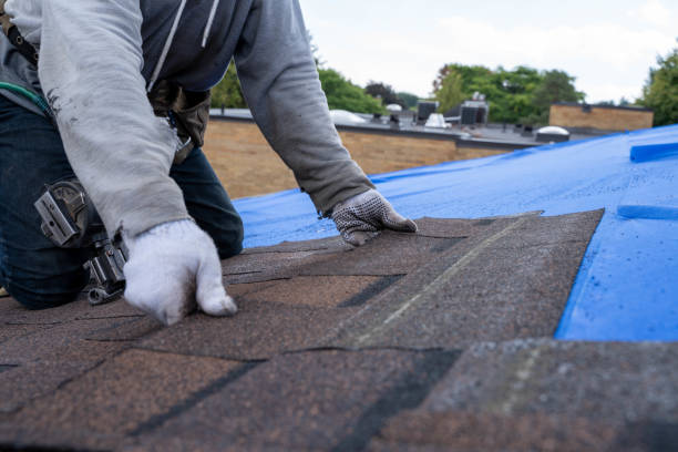 Quick and Trustworthy Emergency Roof Repair Services in Plainwell, MI