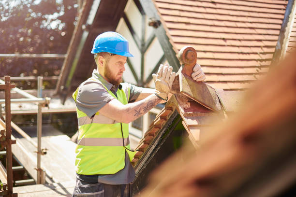 Best Storm Damage Roof Repair  in Plainwell, MI