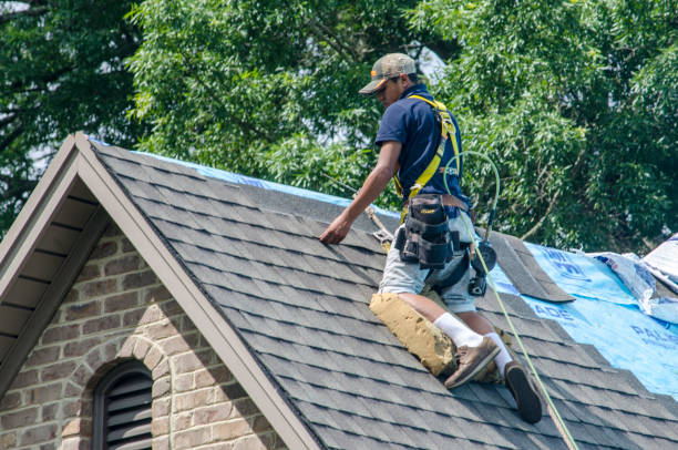 Best Shingle Roofing Installation  in Plainwell, MI